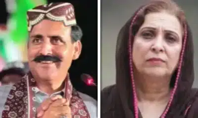 pml-n-and-ppp