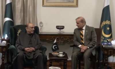 president-zardari-meets-prime-minister-