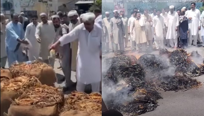 swabi