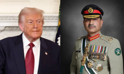 trump، field-marshal