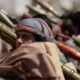 Houthi Allies