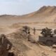 Houthi