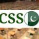 css-result