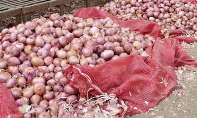 onion