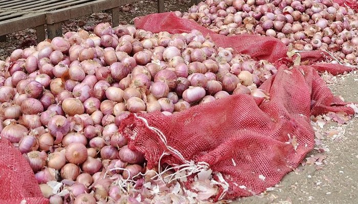 onion