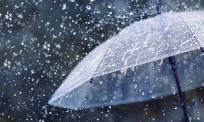 rain