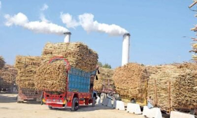 sugar-mills-file-photo