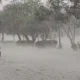 Rain-In-Punjab