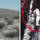 SecKP and Balochistan Operations