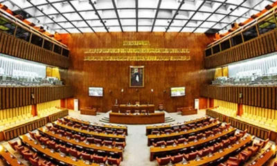 Senate