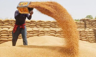 Wheat Crisis