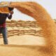 Wheat Crisis