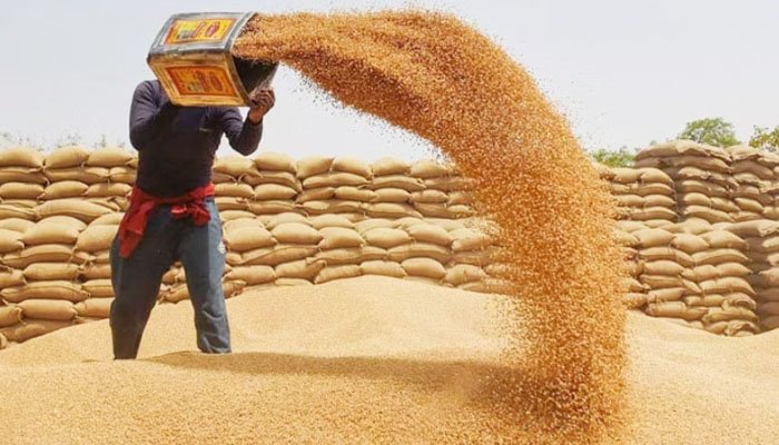 Wheat Crisis