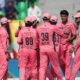 cricket team