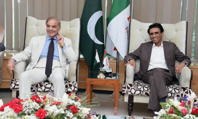 pmln-and-mqm