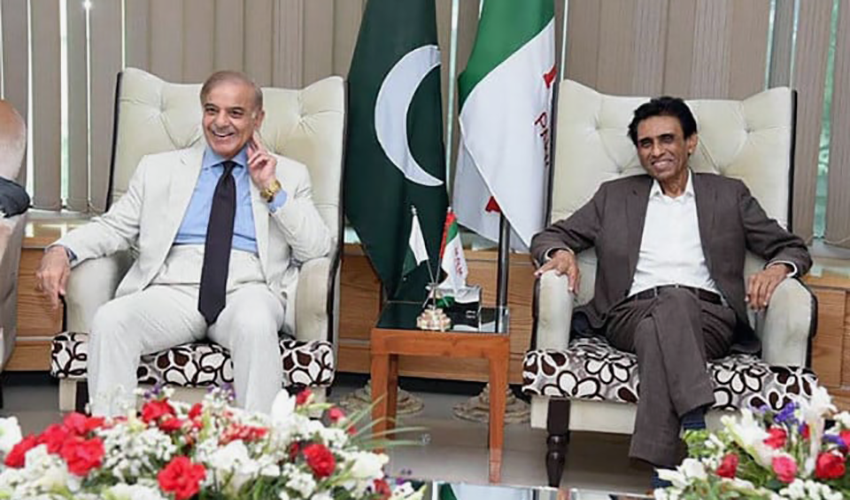 pmln-and-mqm