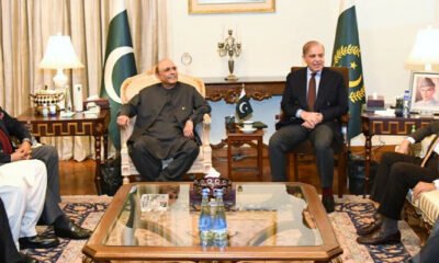 president asif zardari and pm shehbaz sharif
