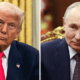 trump-putin
